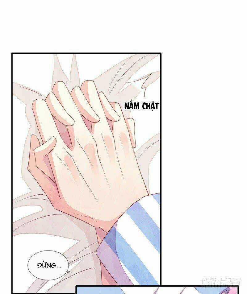 Hôn Bất Do Kỷ - Chapter 28 - Trang 3