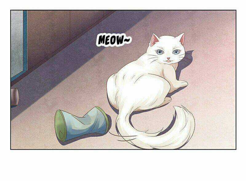 Hôn Bất Do Kỷ - Chapter 50 - Trang 20