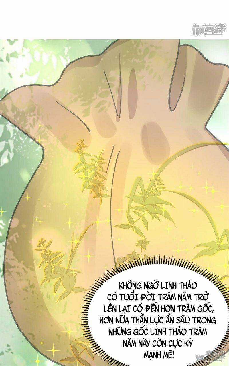 Hỗn Độn Đan Thần - Chapter 304 - Trang 14