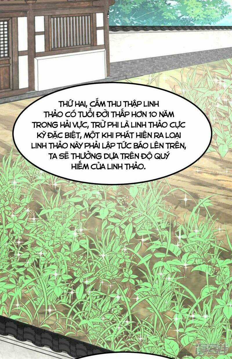 Hỗn Độn Đan Thần - Chapter 304 - Trang 3