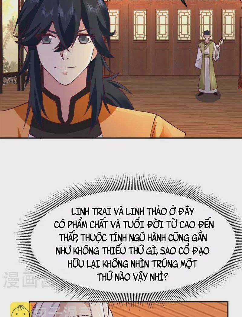 Hỗn Độn Đan Thần - Chapter 311 - Trang 2