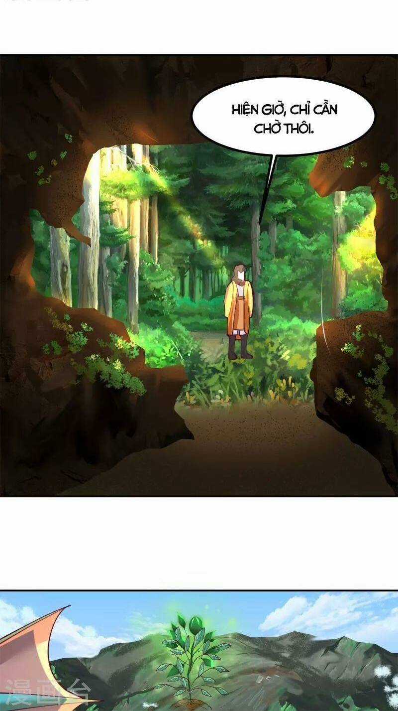 Hỗn Độn Đan Thần - Chapter 331 - Trang 17