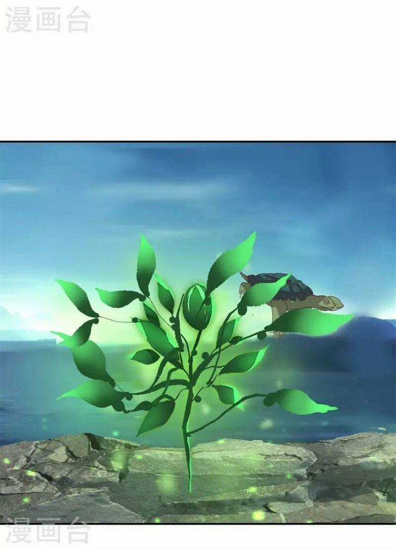 Hỗn Độn Đan Thần - Chapter 332 - Trang 12