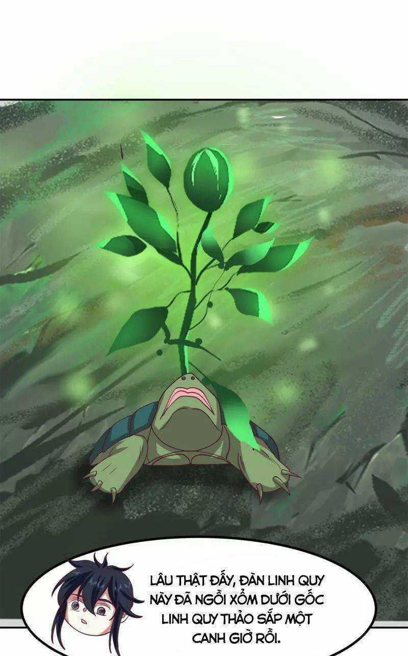 Hỗn Độn Đan Thần - Chapter 332 - Trang 5