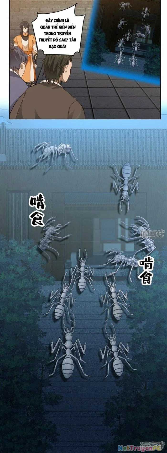 Hỗn Độn Đan Thần - Chapter 343 - Trang 6