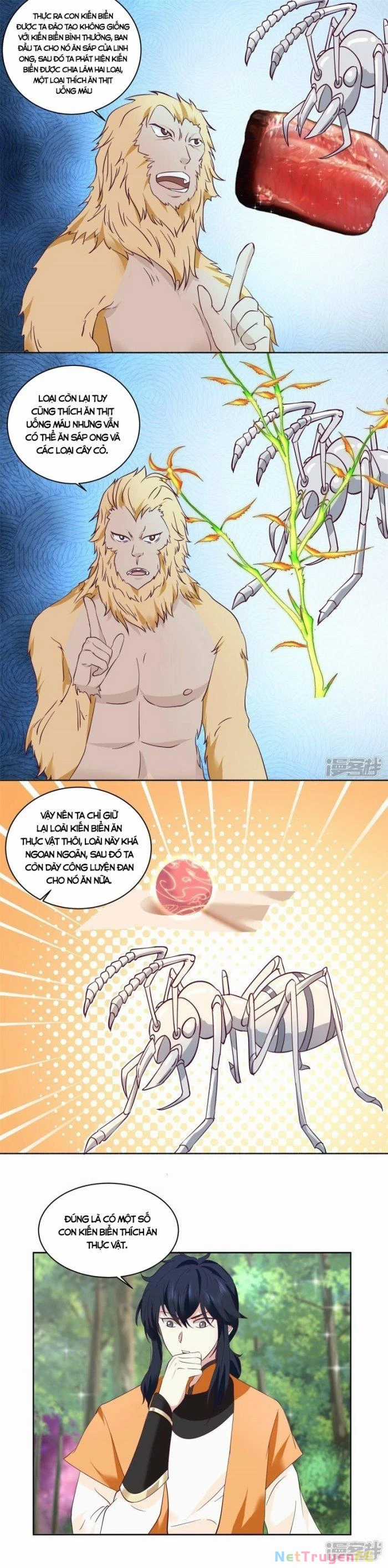 Hỗn Độn Đan Thần - Chapter 346 - Trang 6