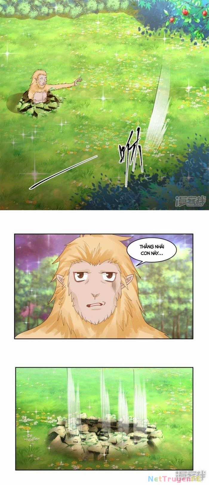 Hỗn Độn Đan Thần - Chapter 347 - Trang 3