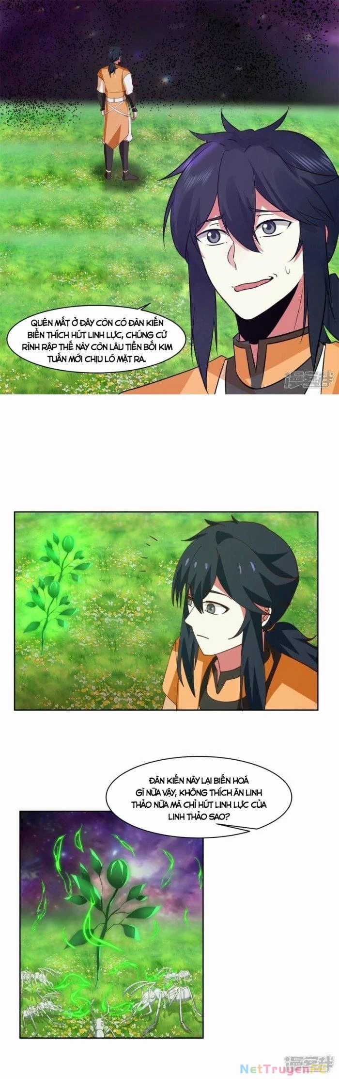 Hỗn Độn Đan Thần - Chapter 349 - Trang 3