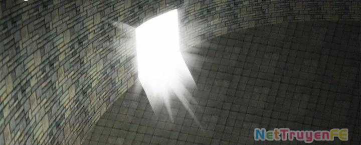 Hỗn Độn Đan Thần - Chapter 361 - Trang 11