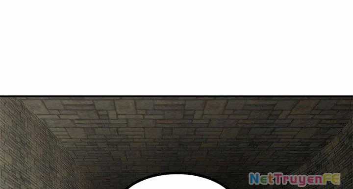 Hỗn Độn Đan Thần - Chapter 362 - Trang 5