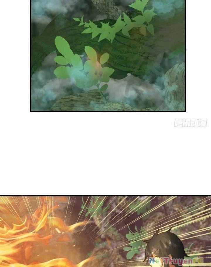 Hỗn Độn Đan Thần - Chapter 367 - Trang 63