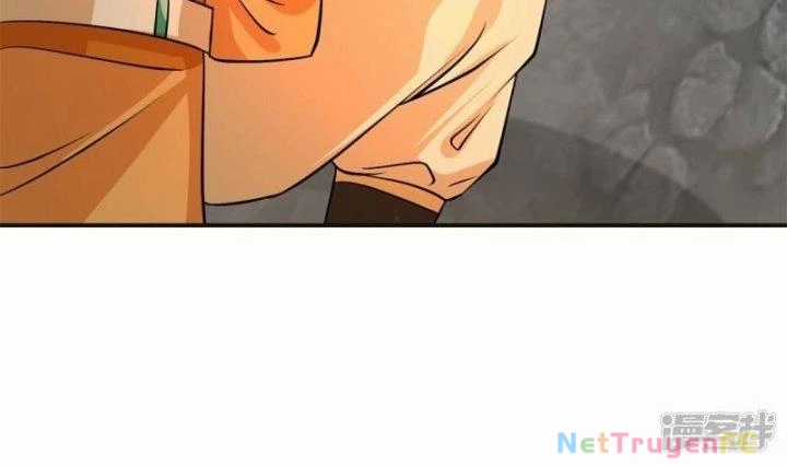 Hỗn Độn Đan Thần - Chapter 370 - Trang 13