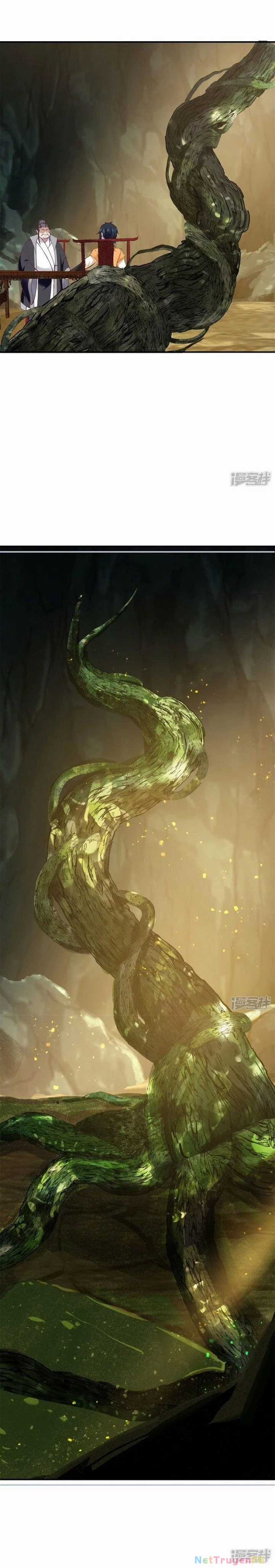 Hỗn Độn Đan Thần - Chapter 375 - Trang 6