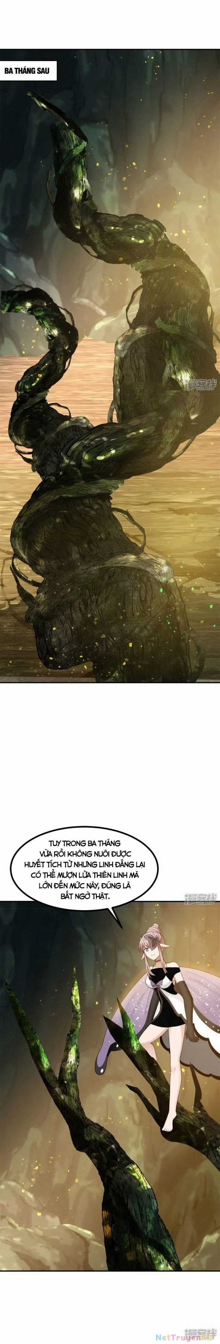 Hỗn Độn Đan Thần - Chapter 375 - Trang 7