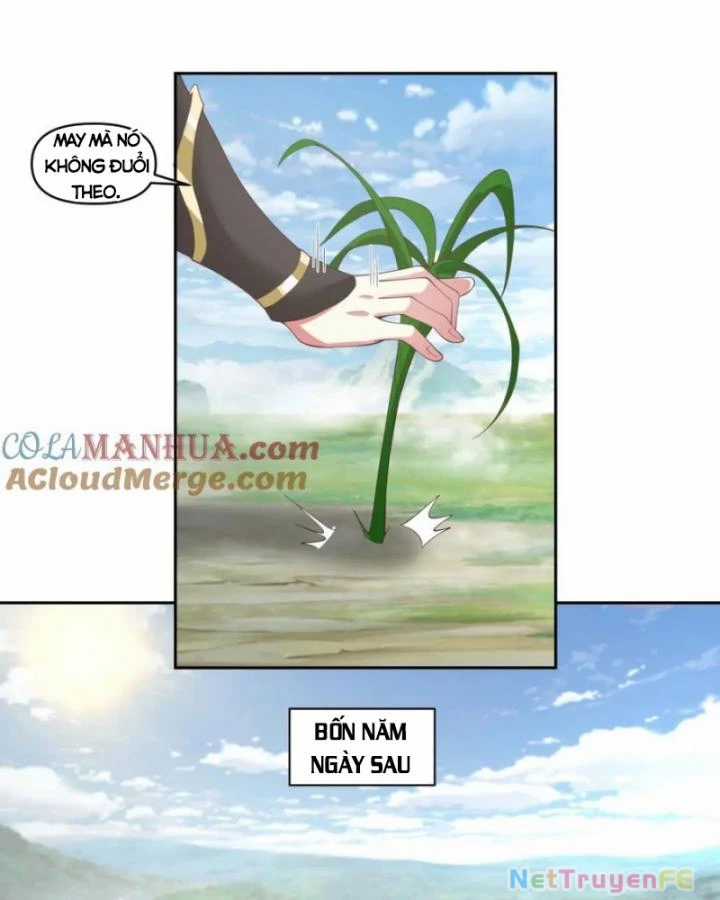 Hỗn Độn Đan Thần - Chapter 388 - Trang 12