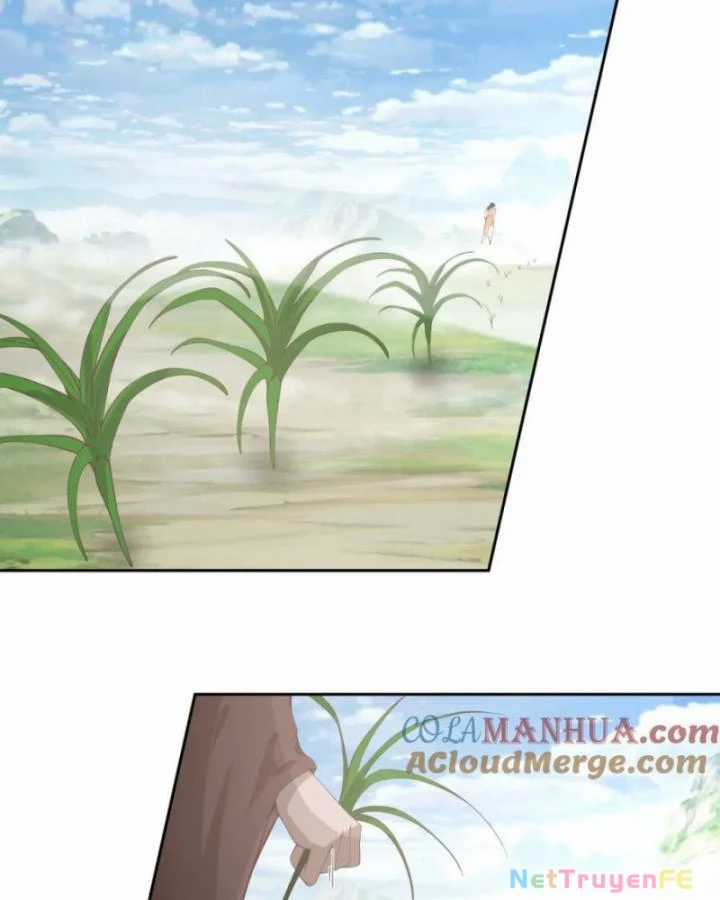 Hỗn Độn Đan Thần - Chapter 388 - Trang 15