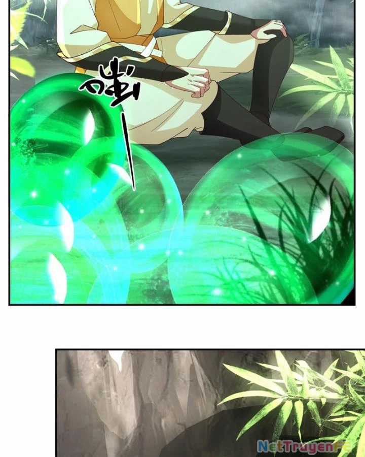 Hỗn Độn Đan Thần - Chapter 404 - Trang 29