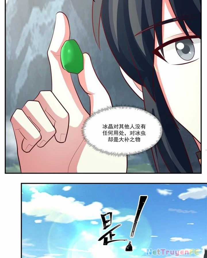 Hỗn Độn Đan Thần - Chapter 405 - Trang 35