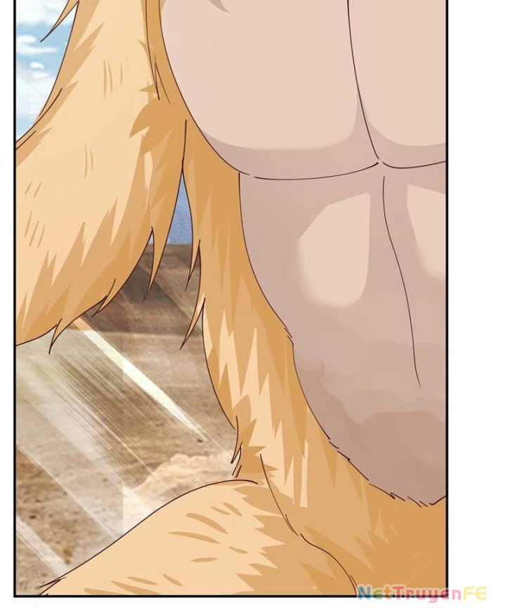 Hỗn Độn Đan Thần - Chapter 406 - Trang 11