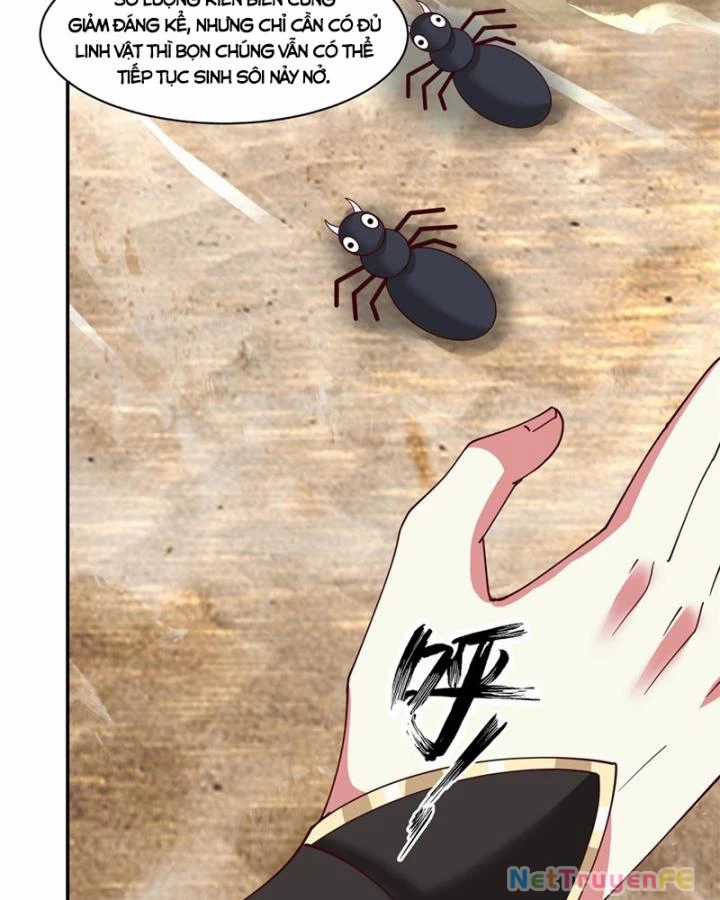 Hỗn Độn Đan Thần - Chapter 406 - Trang 6