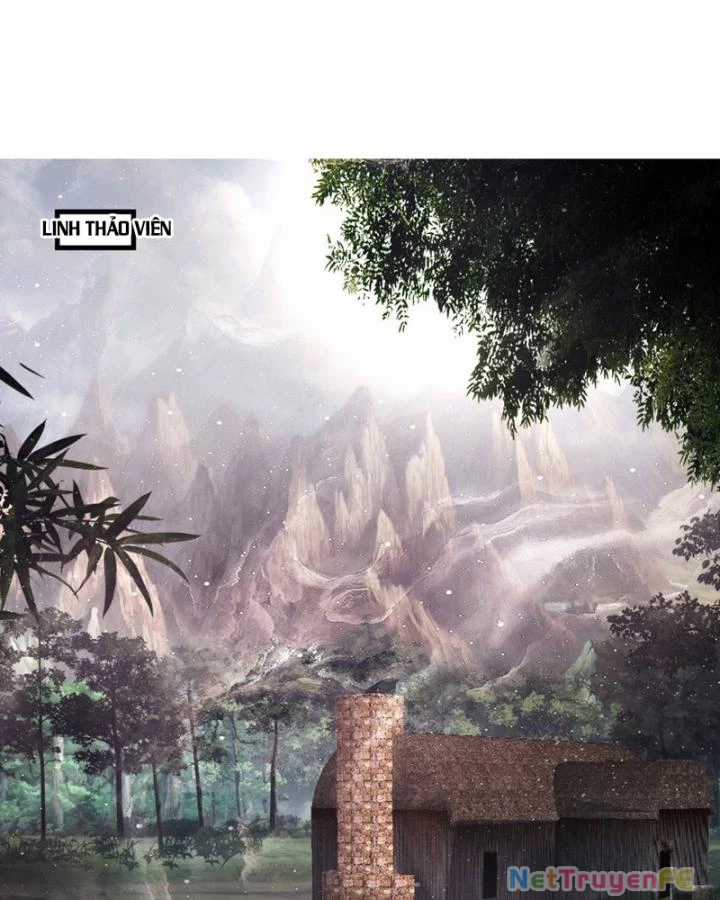 Hỗn Độn Đan Thần - Chapter 408 - Trang 13