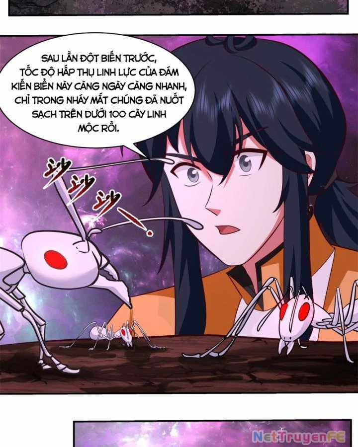 Hỗn Độn Đan Thần - Chapter 439 - Trang 4
