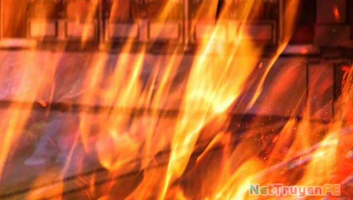 Hỗn Độn Đan Thần - Chapter 445 - Trang 14