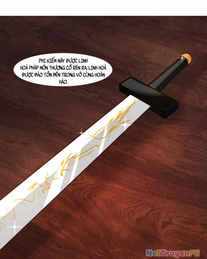 Hỗn Độn Đan Thần - Chapter 447 - Trang 13