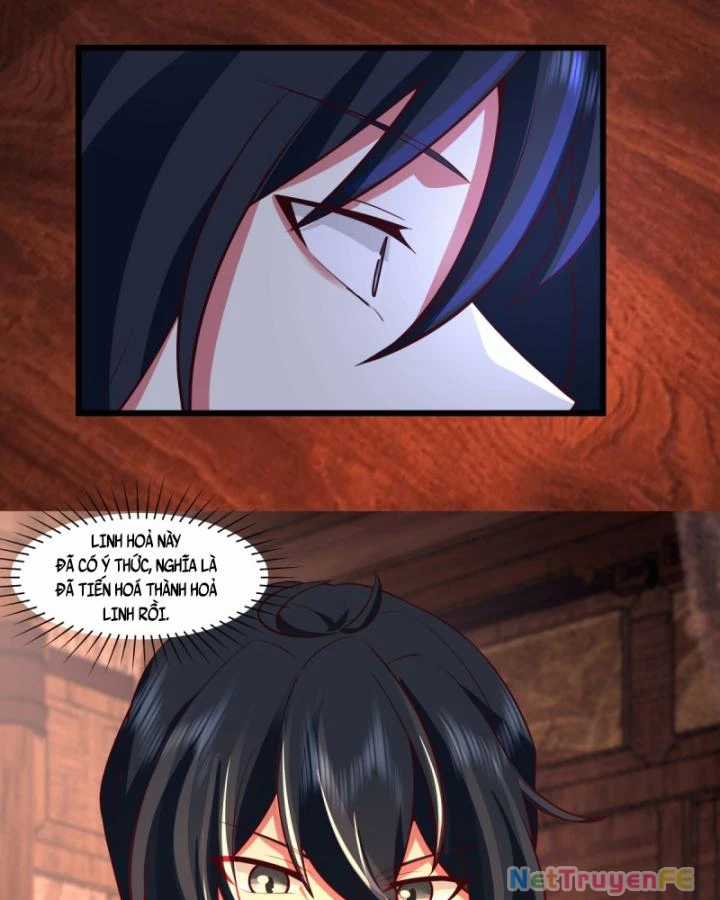 Hỗn Độn Đan Thần - Chapter 447 - Trang 14