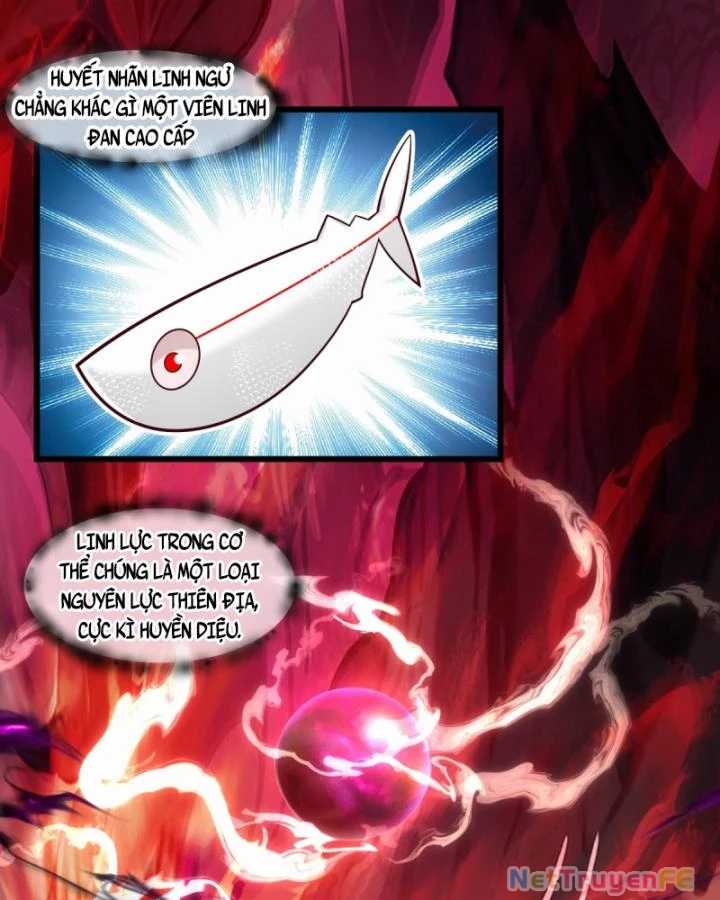 Hỗn Độn Đan Thần - Chapter 447 - Trang 23