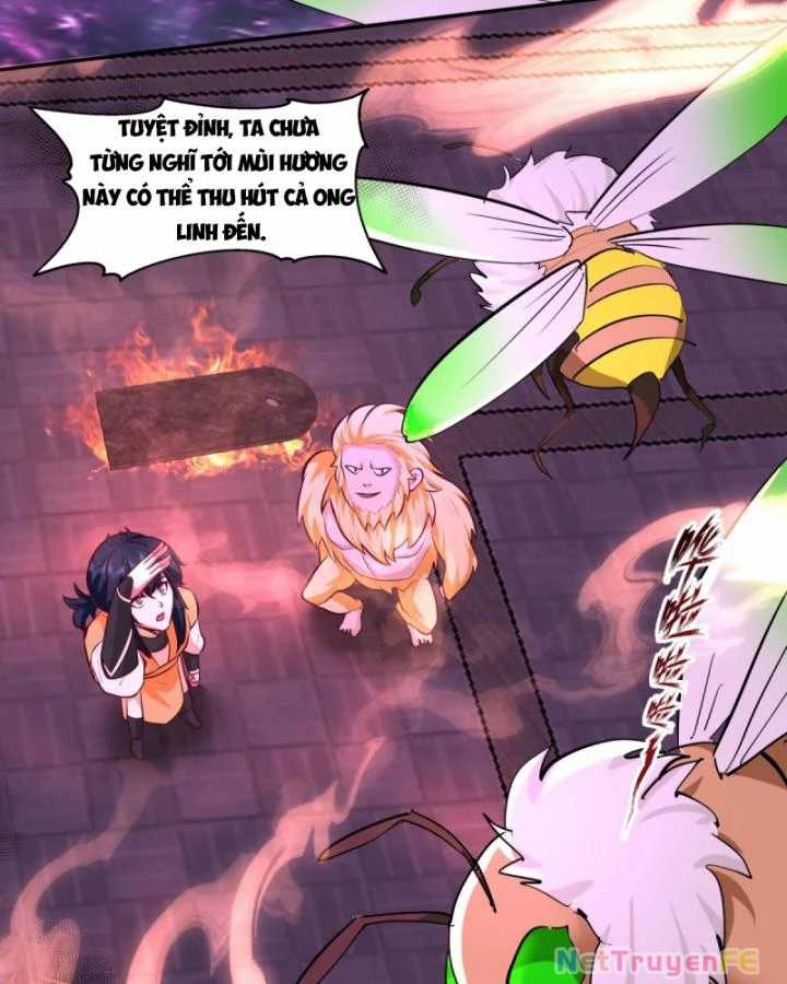 Hỗn Độn Đan Thần - Chapter 449 - Trang 13
