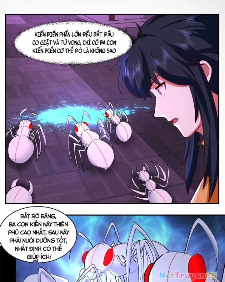 Hỗn Độn Đan Thần - Chapter 450 - Trang 12