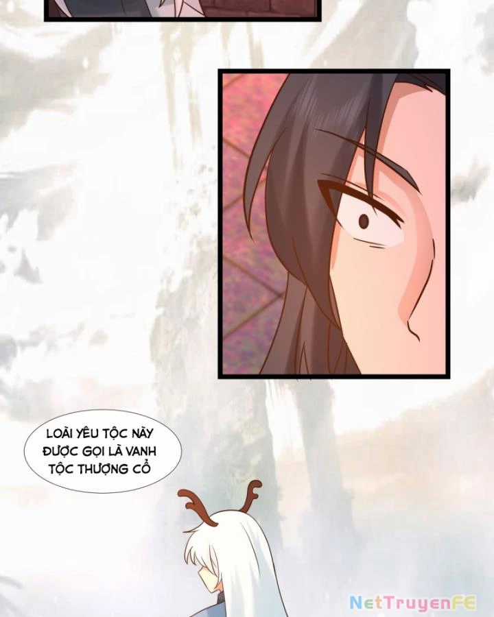 Hỗn Độn Đan Thần - Chapter 466 - Trang 6