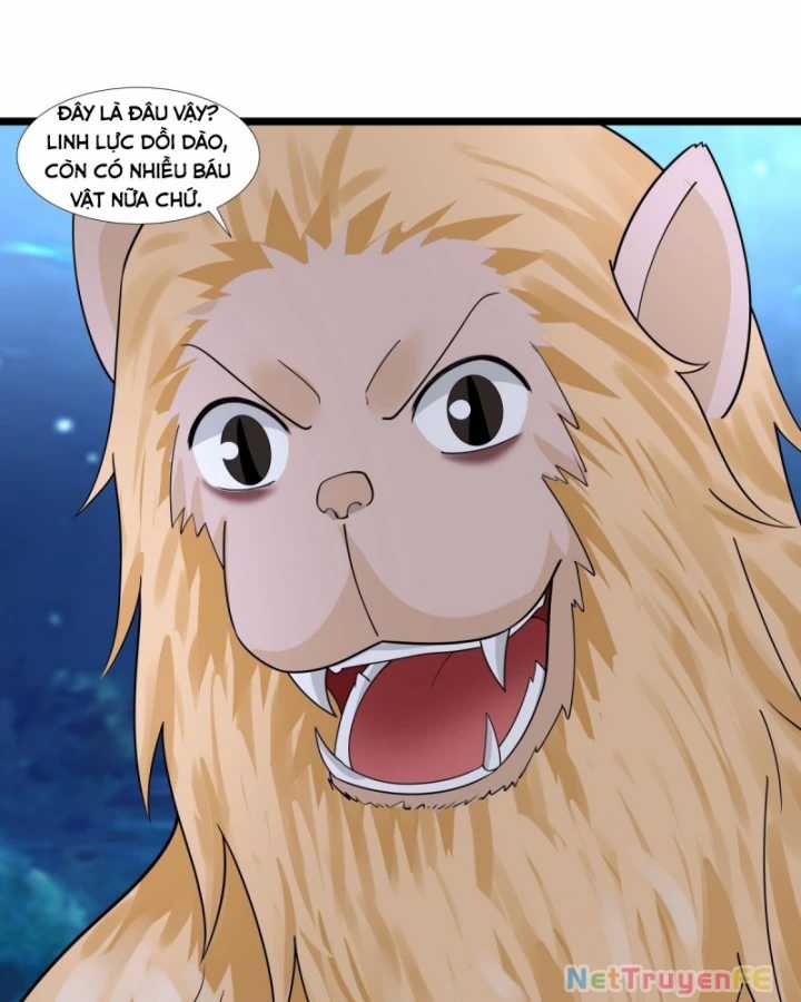 Hỗn Độn Đan Thần - Chapter 479 - Trang 11