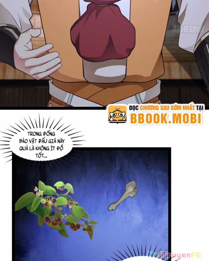 Hỗn Độn Đan Thần - Chapter 485 - Trang 13