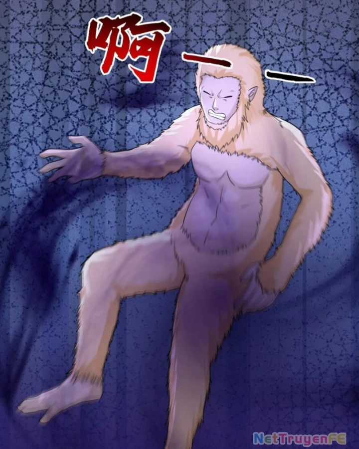 Hỗn Độn Đan Thần - Chapter 492 - Trang 31