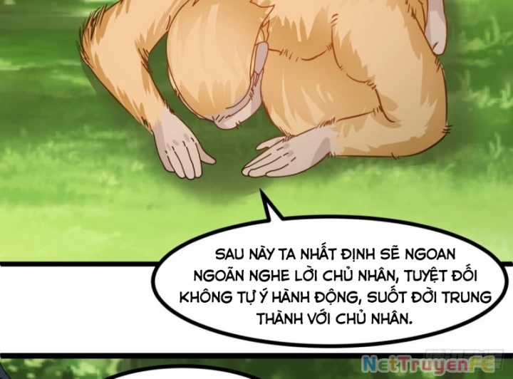 Hỗn Độn Đan Thần - Chapter 505 - Trang 36