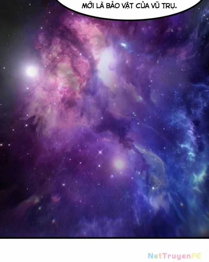 Hỗn Độn Đan Thần - Chapter 506 - Trang 12