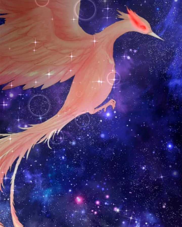 Hỗn Độn Đan Thần - Chapter 514 - Trang 5