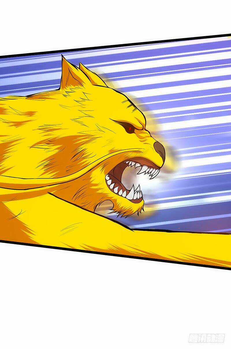 Hỗn Độn Kiếm Thần - Chapter 73 - Trang 1