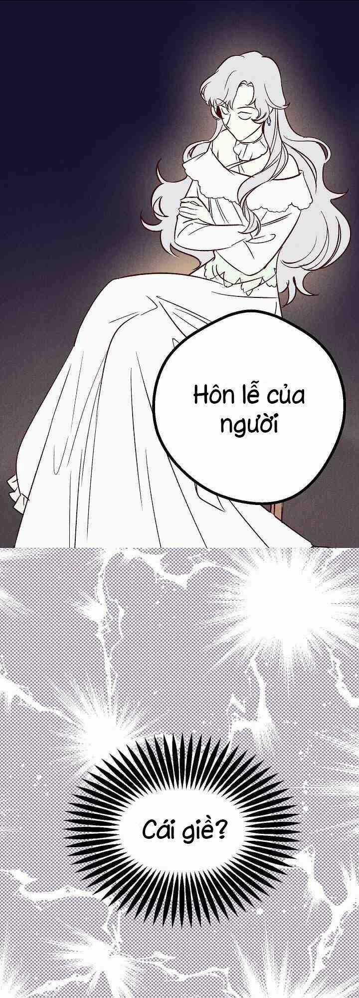 Hôn Lễ Báo Thù - Chapter 1 - Trang 17