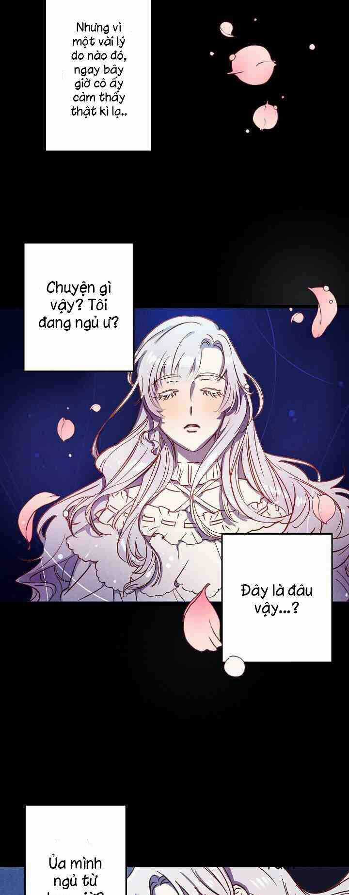 Hôn Lễ Báo Thù - Chapter 1 - Trang 3