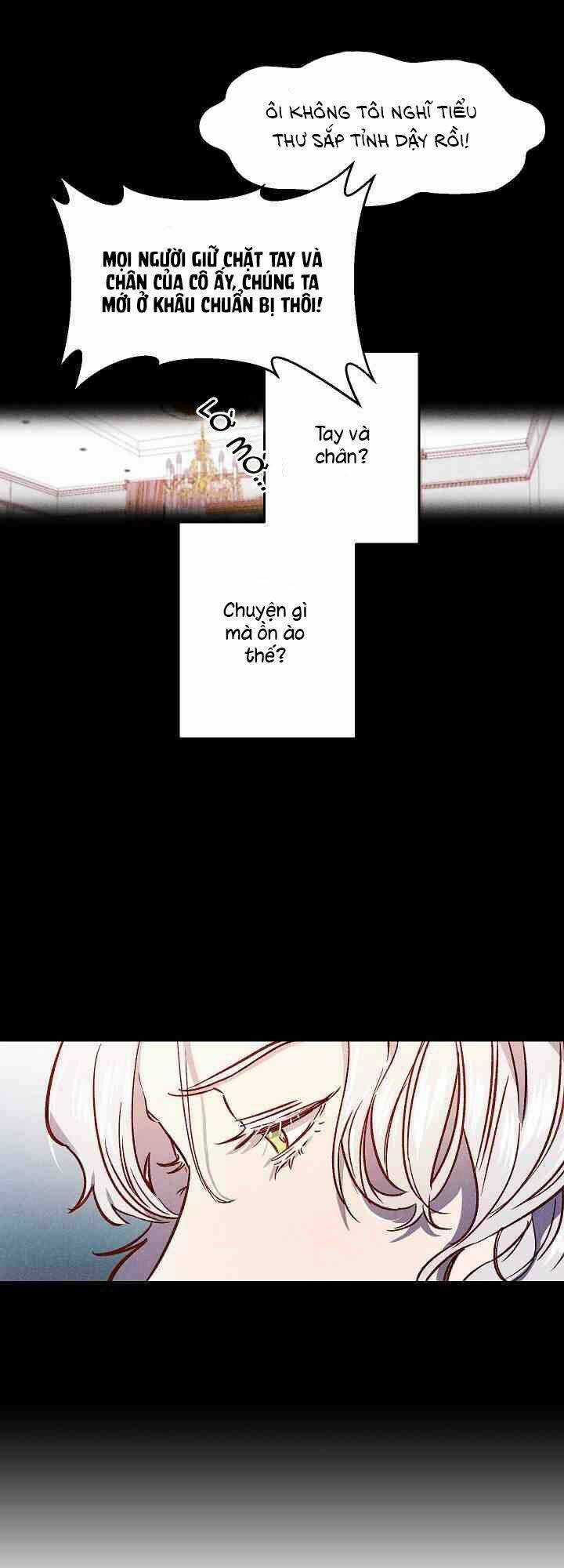 Hôn Lễ Báo Thù - Chapter 1 - Trang 5