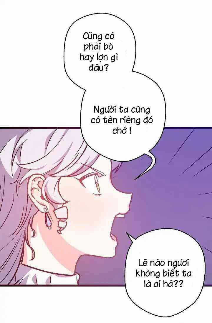 Hôn Lễ Báo Thù - Chapter 4 - Trang 16