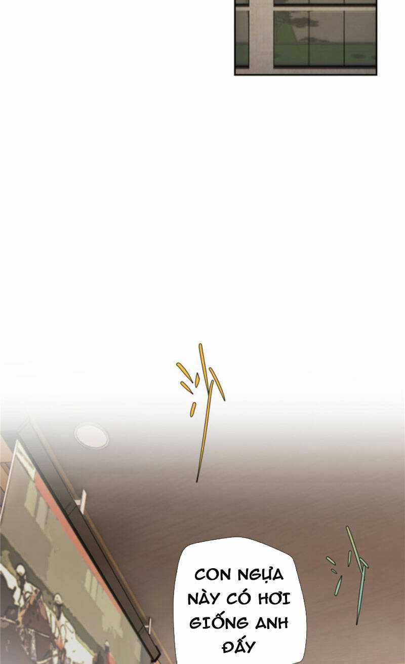 Hỗn Loạn Nhất Lịch Sử - Chapter 13 - Trang 19