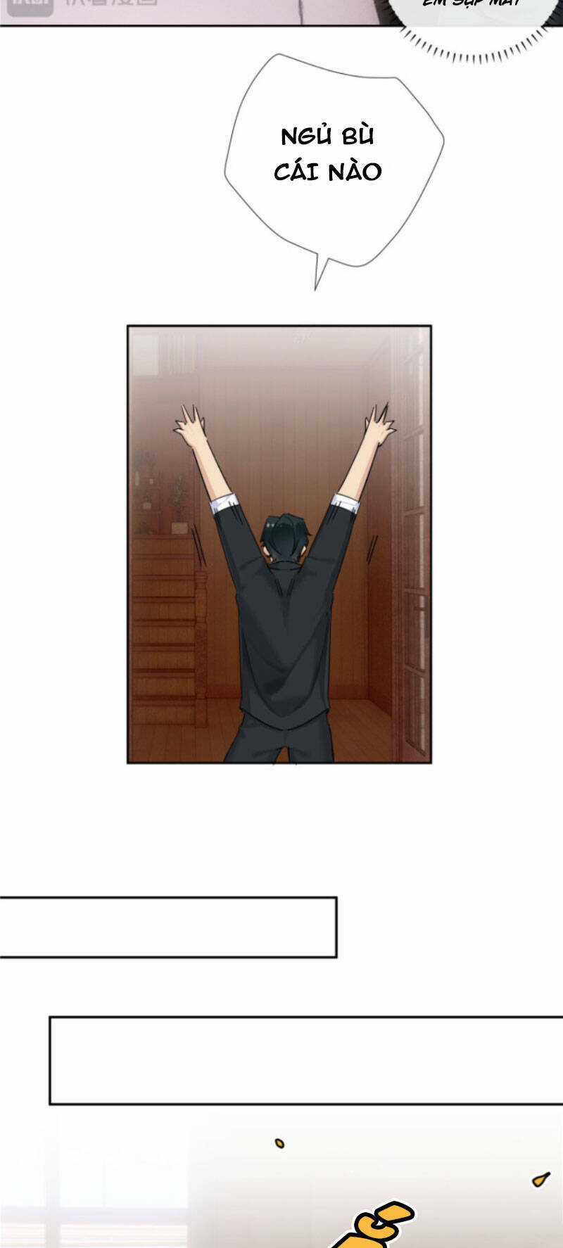 Hỗn Loạn Nhất Lịch Sử - Chapter 42 - Trang 5