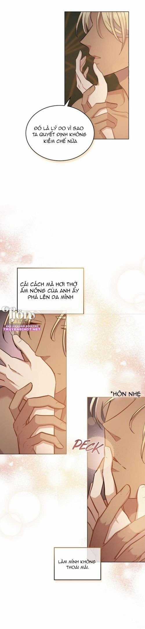 Hôn Nhân Giả Dối - Chapter 17 - Trang 12