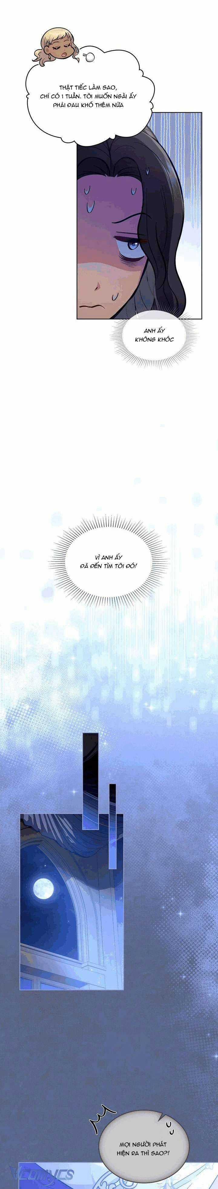 Hôn Nhân Giả Dối - Chapter 41 - Trang 13