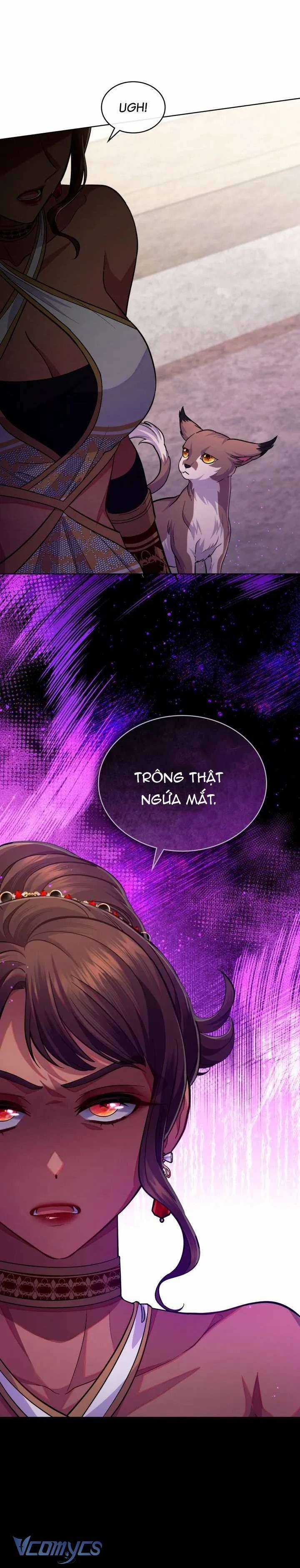 Hôn Nhân Giả Dối - Chapter 63 - Trang 13