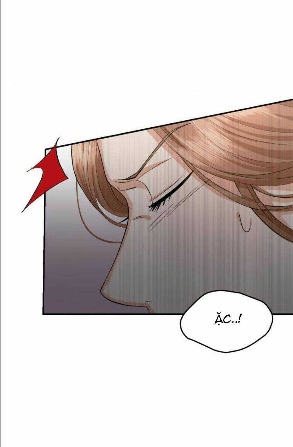 Hôn Nhân Hoàn Hảo - Chapter 11.2 - Trang 33